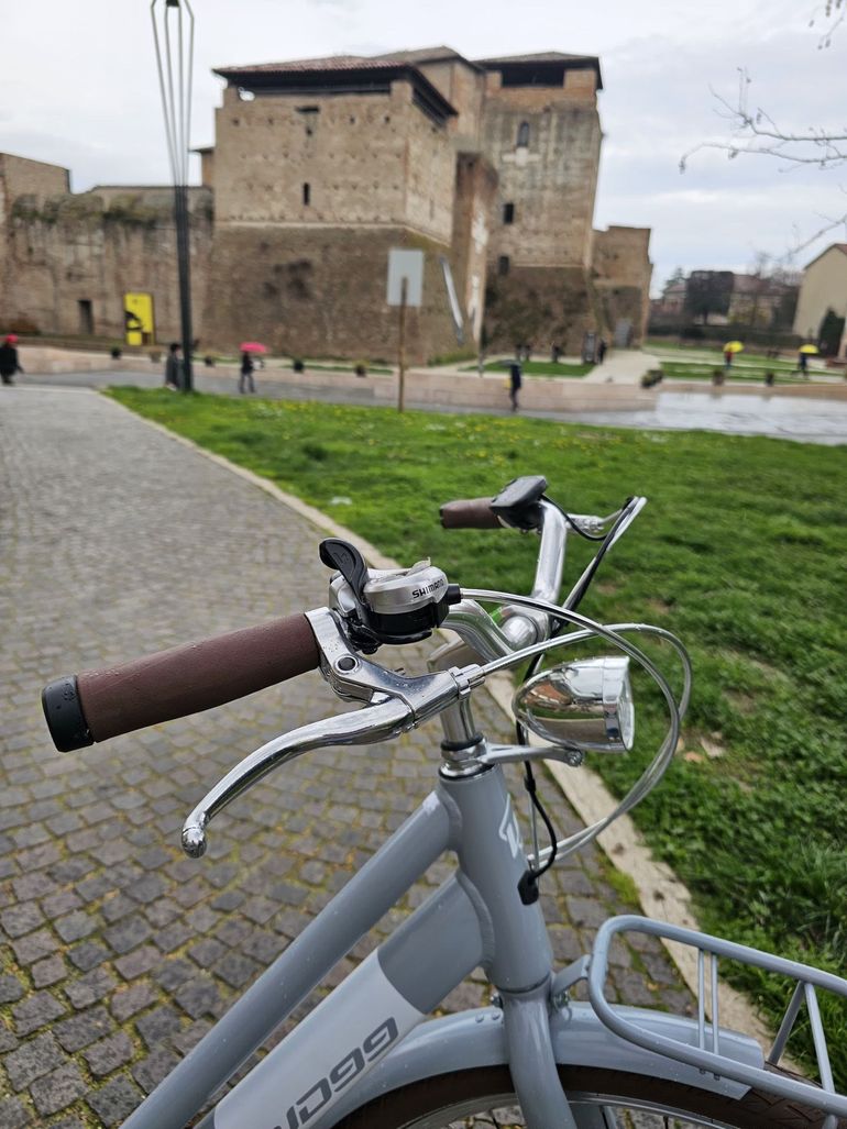 Used wd99 Wd99 Custom Other Shimano 2025 Urban — image 4 of 4