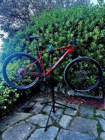 Used Cannondale Scalpel HT Carbon 2 2024 MTB