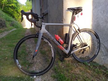 Basso, Venta Rim Shimano Ultegra 2016