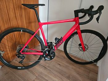 Rose, PRO SL DISC 105 2023