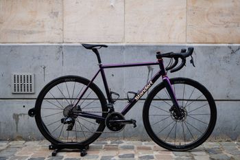 Standert, Triebwerk DISC LTD Edition Custom Frameset