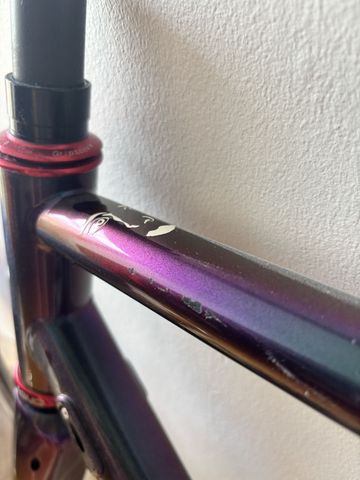 Brugt Standert Triebwerk DISC LTD Edition Custom Frameset 2023 Road & Gravel — billede 11 af 13