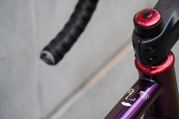Brugt Standert Triebwerk DISC LTD Edition Custom Frameset 2023 Road & Gravel — billede 3 af 13