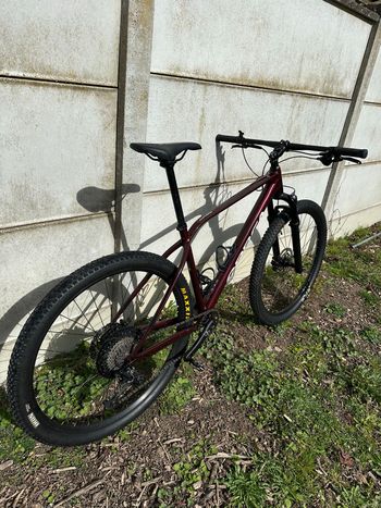 Used Orbea ALMA H30 2024 2024 Mountainbike, Rot, 29 — image 2 of 9