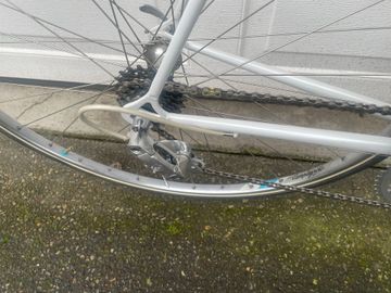 Used Eddy Merckx Custom Other Campagnolo 1985 Road & Gravel, White — image 4 of 12