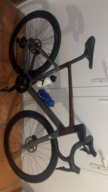 Focus, IZALCO MAX 8.9 2024