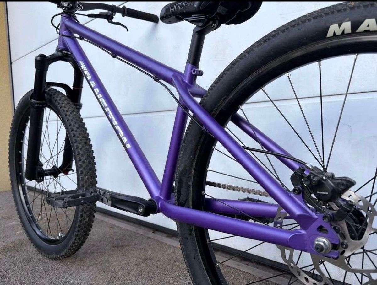 Transition Pbj 2023