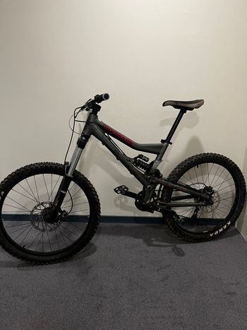 Mongoose, Apprentice