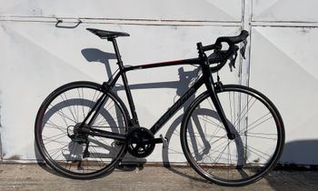 Merida, SCULTURA 500 2019