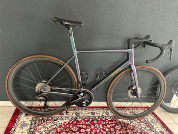 Giant, TCR Advanced SL 1 2025