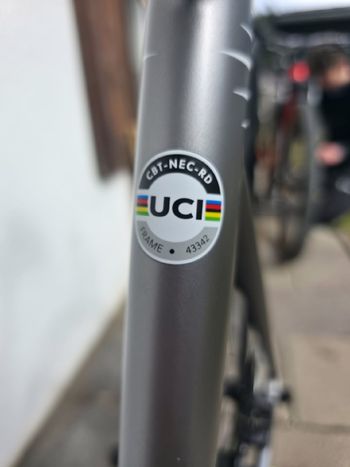 Used C.B.T. Italia Necer Shimano Ultegra Di2 2025 Road & Gravel, Hellgrau — image 10 of 12