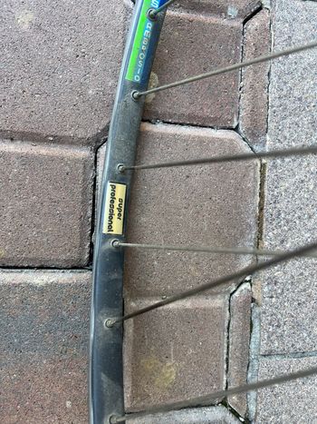 Used Bianchi Bianchi Custom Campagnolo Record 1973 Road & Gravel, Blue — image 8 of 8