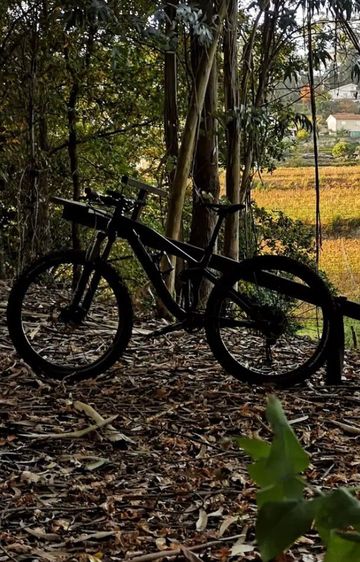 Used Canyon Neuron Shimano SLX 2017 Mountainbike, Black — image 3 of 3