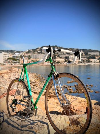 Raleigh, Raleigh Custom Other Campagnolo