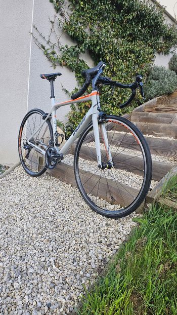 KTM, Revelator Shimano Ultegra