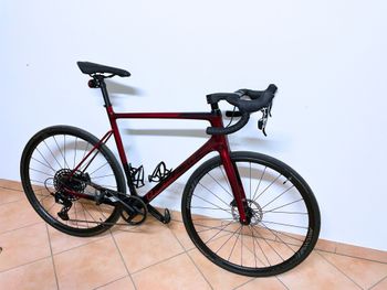 R RAYMON, RaceRay 8.0 2024