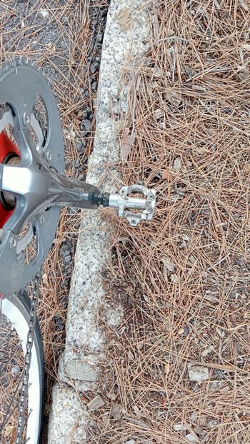 Used BH Prima 2016 Road & Gravel, Red — image 3 of 8