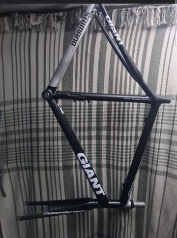 Tweedehands Giant TCR Advanced Pro Team 2019 Frameset 2019 Road & Gravel — afbeelding 1 van 5