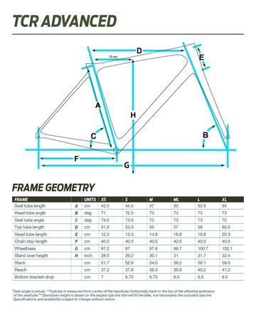 Tweedehands Giant TCR Advanced Pro Team 2019 Frameset 2019 Road & Gravel — afbeelding 5 van 5