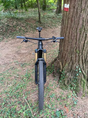 Used Trek Powerfly SRAM XX1 Eagle AXS 2019 Mountainbike, Black — image 3 of 4