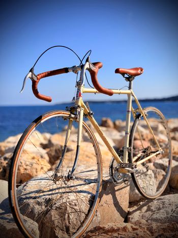 Vitus, Vitus Custom Simplex Vintage