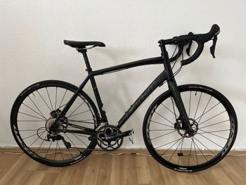 Fuji, Sportif 1.1 Disc 2016