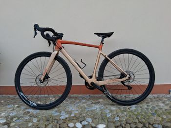 Megamo, WEST 10 2022