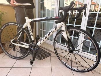 Dedacciai, Dedacciai Custom Shimano Ultegra