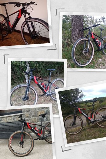 Willier, Willier Custom Shimano Deore XT