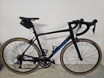 Giant, Contend 3 2021