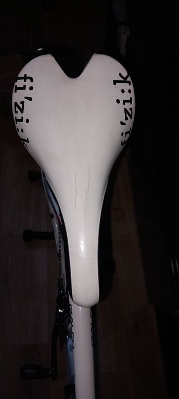 Used Focus Pro 2.0 2012 2012 Road & Gravel, White — image 9 of 11