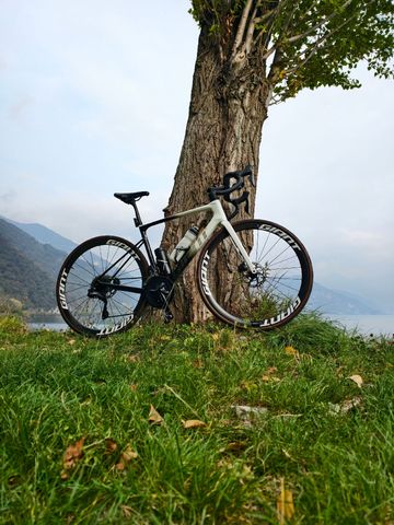 Gebrauchtes Giant Defy Advanced Pro 1 2024 2024 Road & Gravel, Weiß — Bild 2 von 3