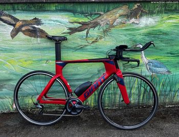 Giant, Trinity Shimano Ultegra