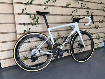 Specialized, Tarmac Campagnolo Super Record