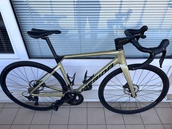 Merida, SCULTURA LIMITED 2023