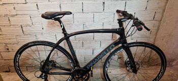Pinarello, Treviso Carbon Disk Bike 2021