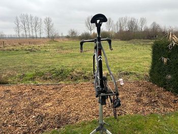 Ridley, X-night Shimano Ultegra Di2 (12 Speed)