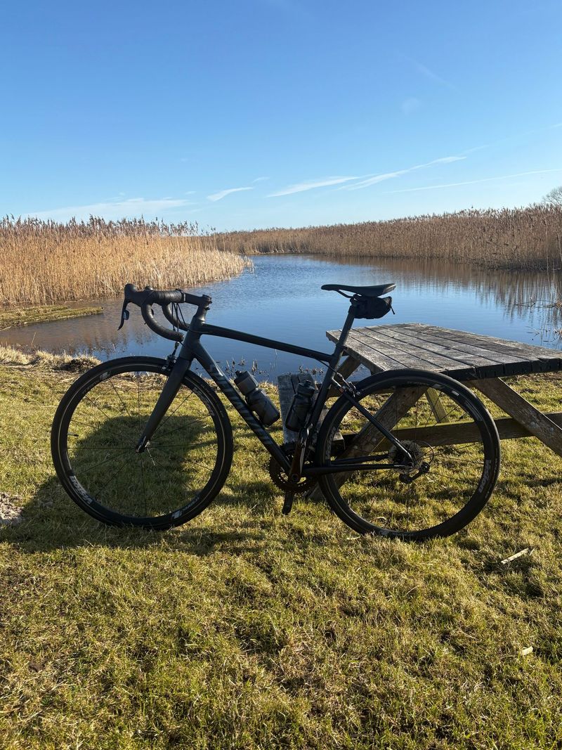 Używany Specialized Allez Elite 2022 2022 Road & Gravel