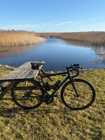 Specialized Allez Elite 2022 2022 Road & Gravel usato, Nero — immagine 3 di 10