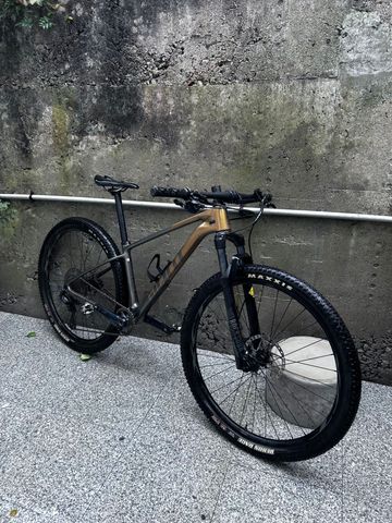 Gebrauchtes Giant XTC Advanced 29 2 2020 2020 MTB