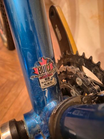Brugt Rocky Mountain Element Team Only Edition 2000 Mountainbike — billede 7 af 18