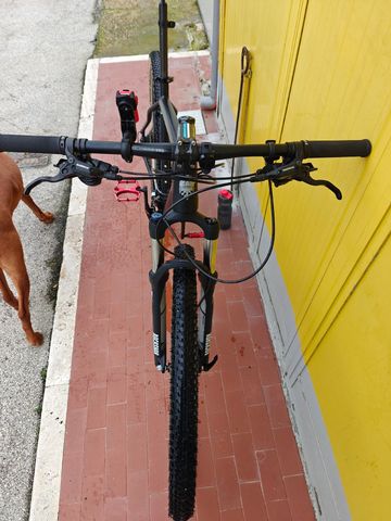 Used Bianchi Jab 29.1 2017 2017 Mountainbike, Black, 29 — image 5 of 7