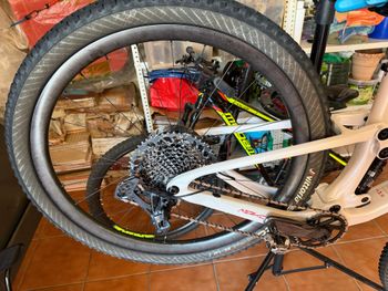 Used Berria Berria Custom SRAM GX Eagle 2023 Mountainbike — image 6 of 9