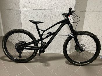 Nukeproof, Mega 290c Pro 2020