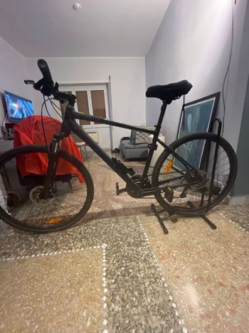 Cannondale, Quick CX 4 2025