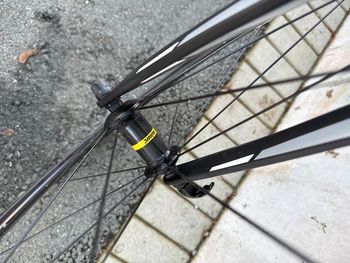 Used Radon Radon Sage Carbon Ultegra 2019 Road & Gravel, Black — image 13 of 14