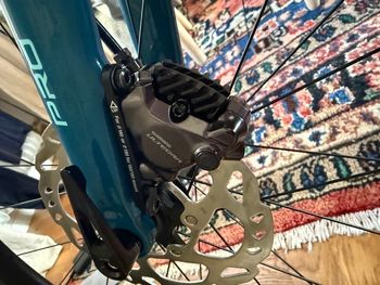 Used Bianchi Zolder Pro Ultegra 2025 2025 Road & Gravel, Verde — image 4 of 4