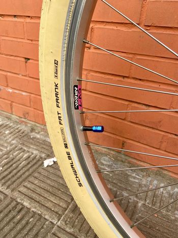 Used Merida Albontech Shimano Deore XT 1995 Mountainbike — image 12 of 12