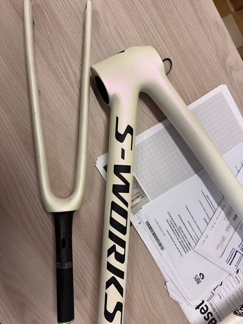 Used Specialized Custom Frameset 2025 Road & Gravel, White — image 4 of 20