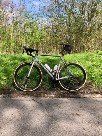 Canyon, Ultimate Shimano Ultegra